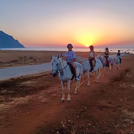 L'Oasi Una Pineta Sul Mare Custonaci Ngoại thất bức ảnh