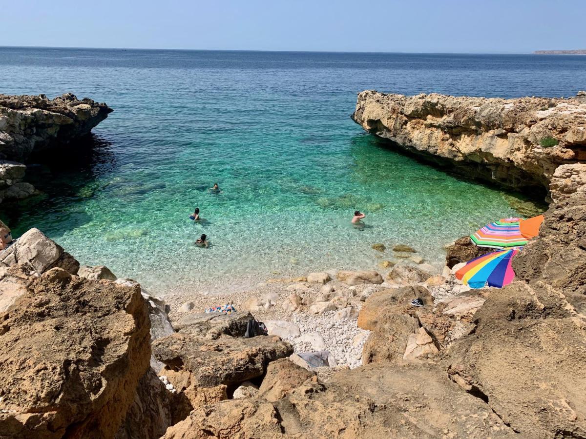 L'Oasi Una Pineta Sul Mare Custonaci Ngoại thất bức ảnh