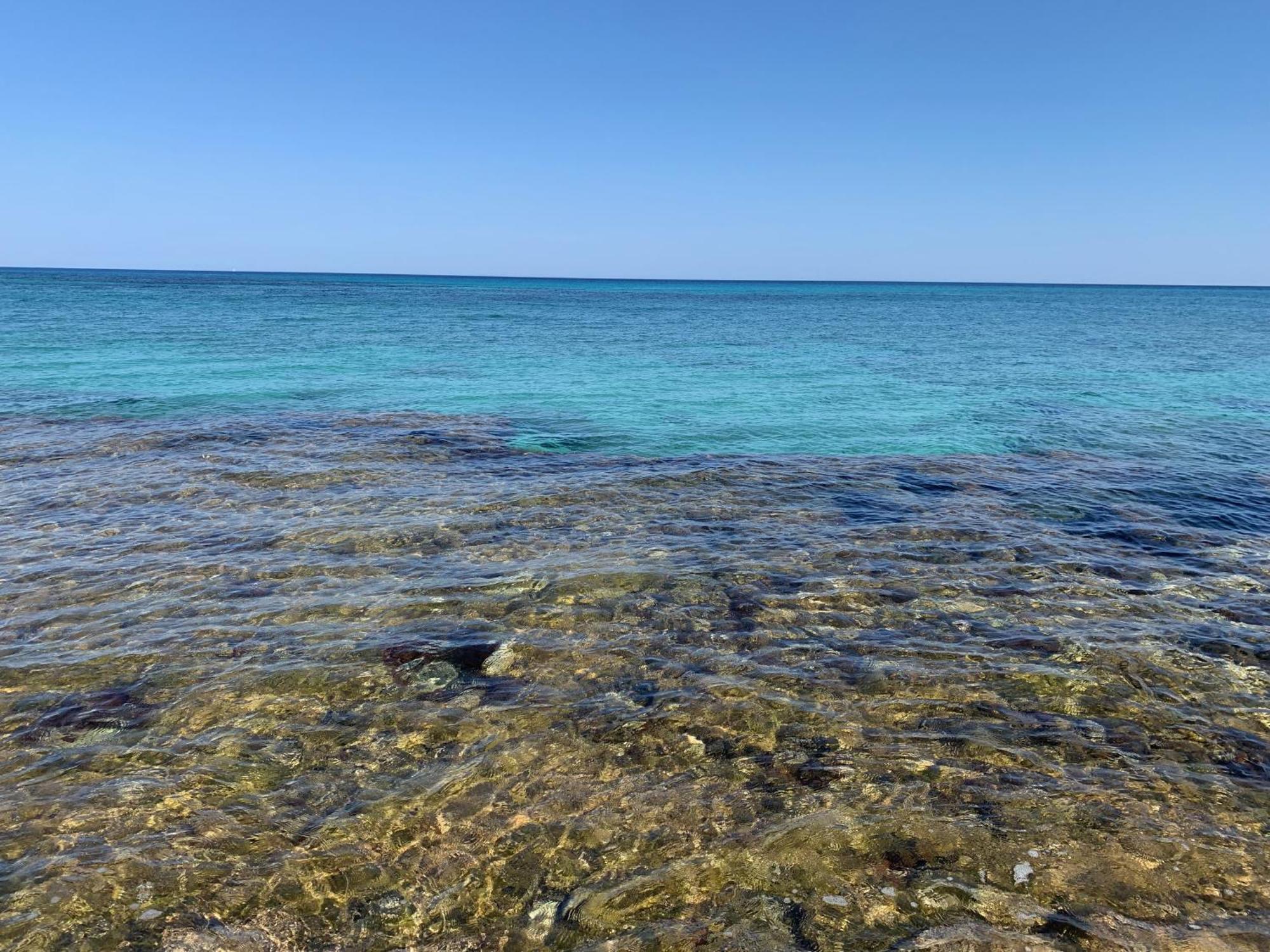 L'Oasi Una Pineta Sul Mare Custonaci Ngoại thất bức ảnh