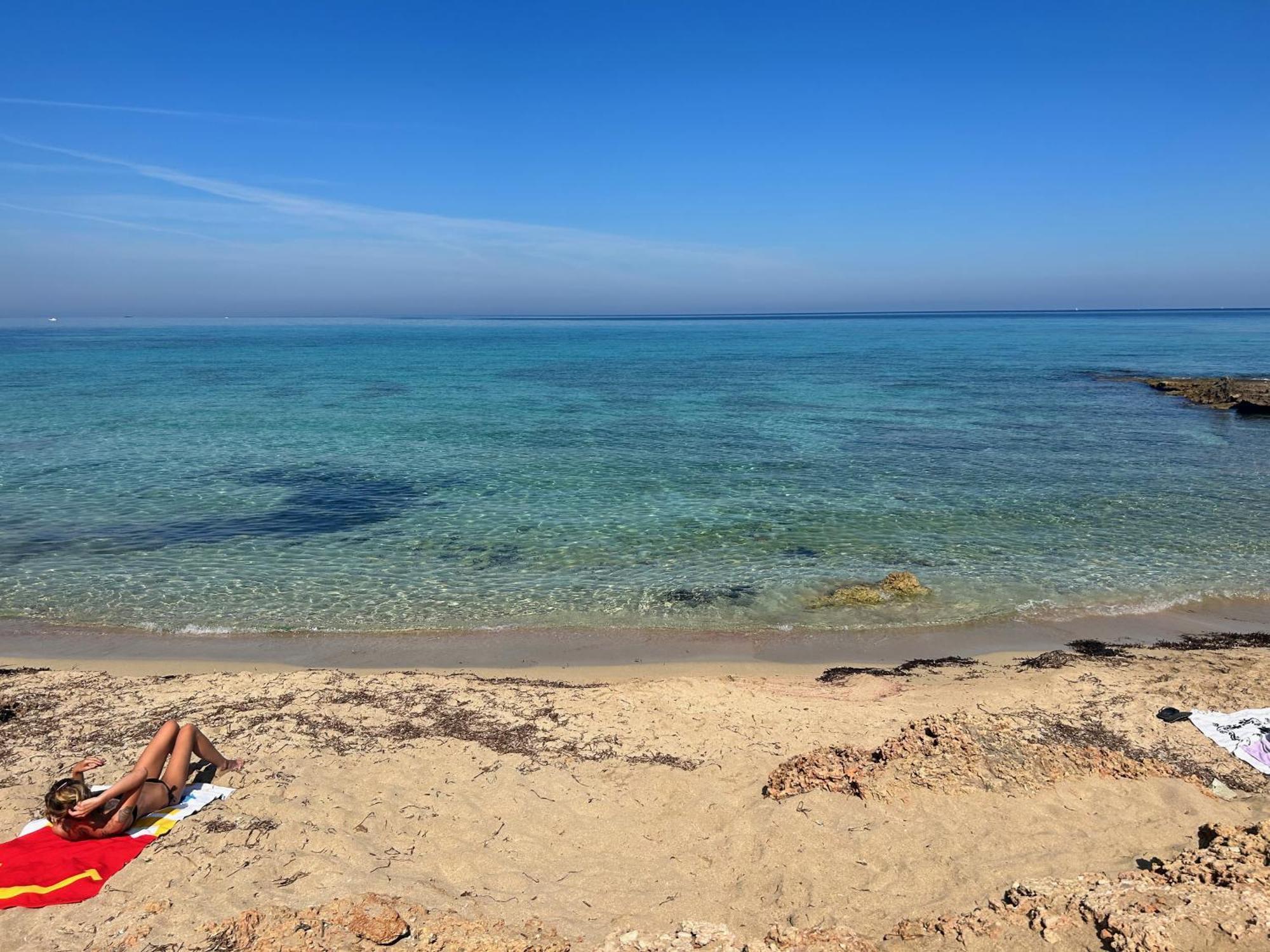 L'Oasi Una Pineta Sul Mare Custonaci Ngoại thất bức ảnh