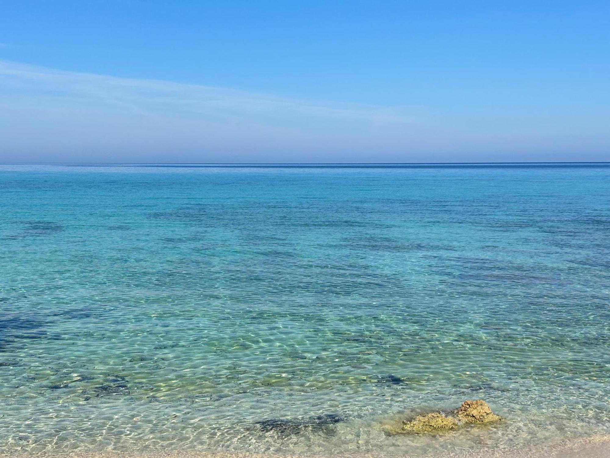 L'Oasi Una Pineta Sul Mare Custonaci Ngoại thất bức ảnh