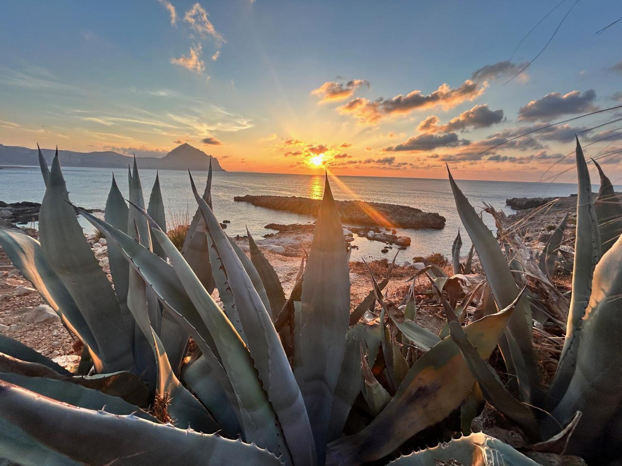 L'Oasi Una Pineta Sul Mare Custonaci Ngoại thất bức ảnh