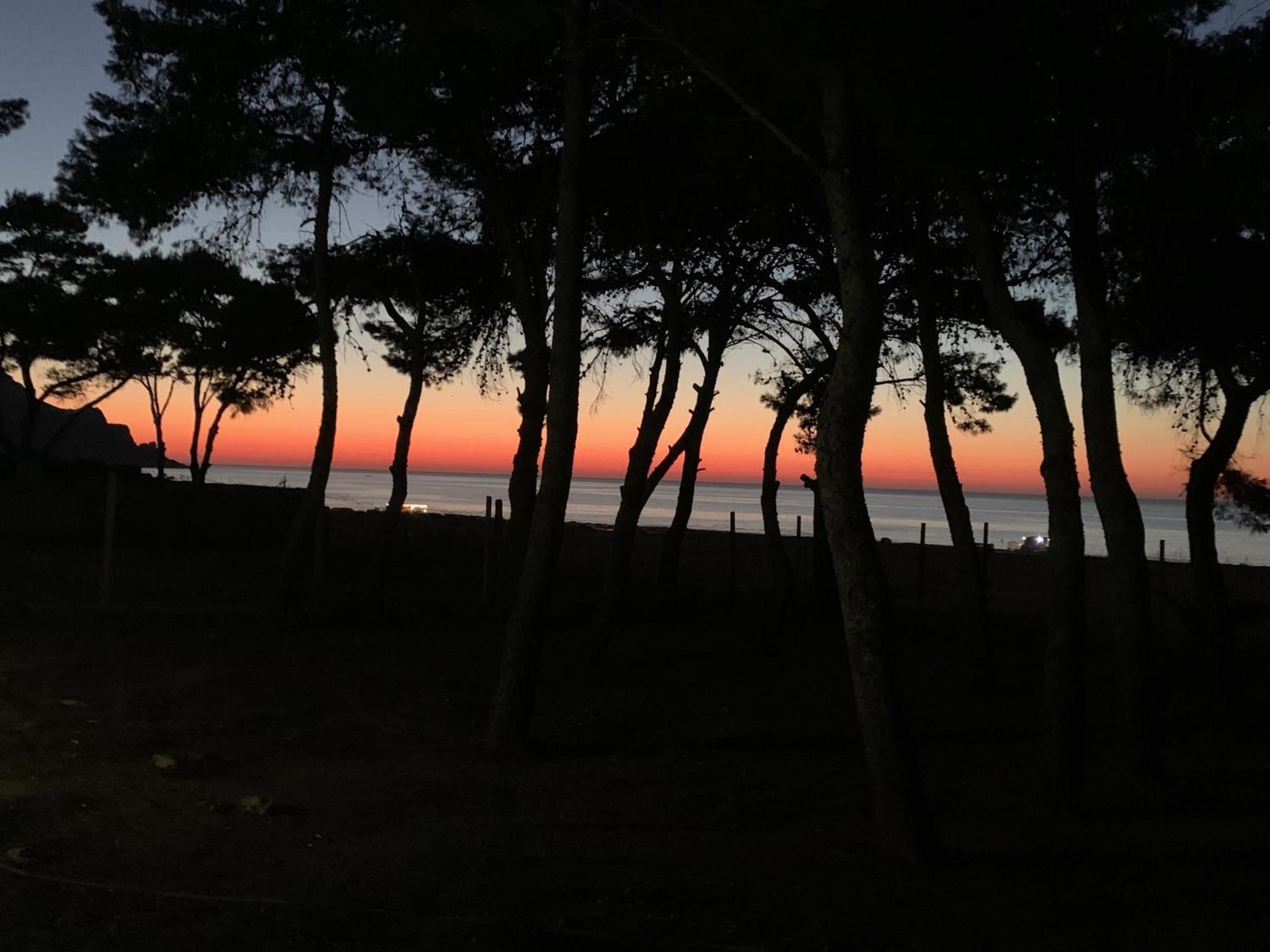 L'Oasi Una Pineta Sul Mare Custonaci Ngoại thất bức ảnh