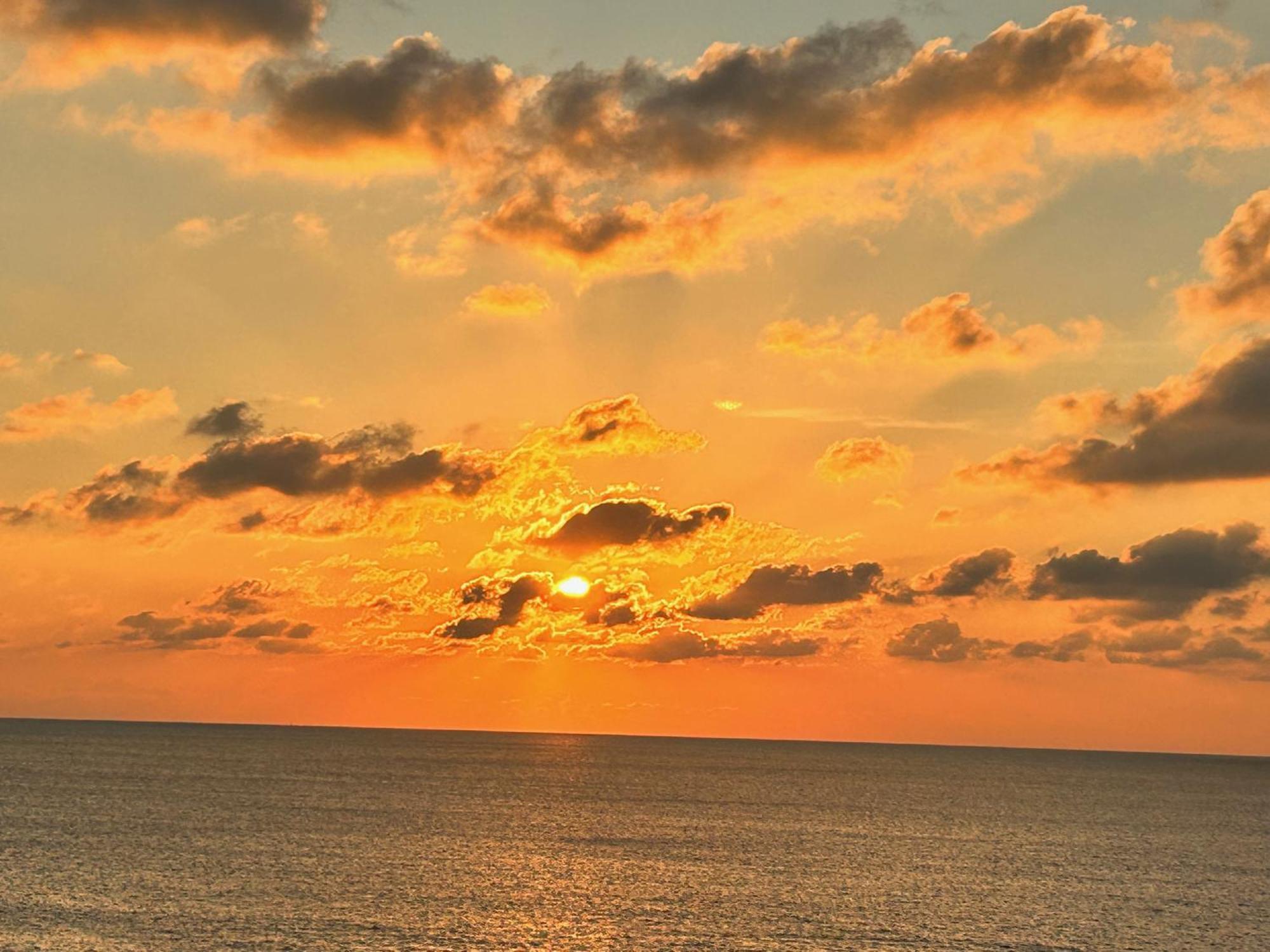 L'Oasi Una Pineta Sul Mare Custonaci Ngoại thất bức ảnh